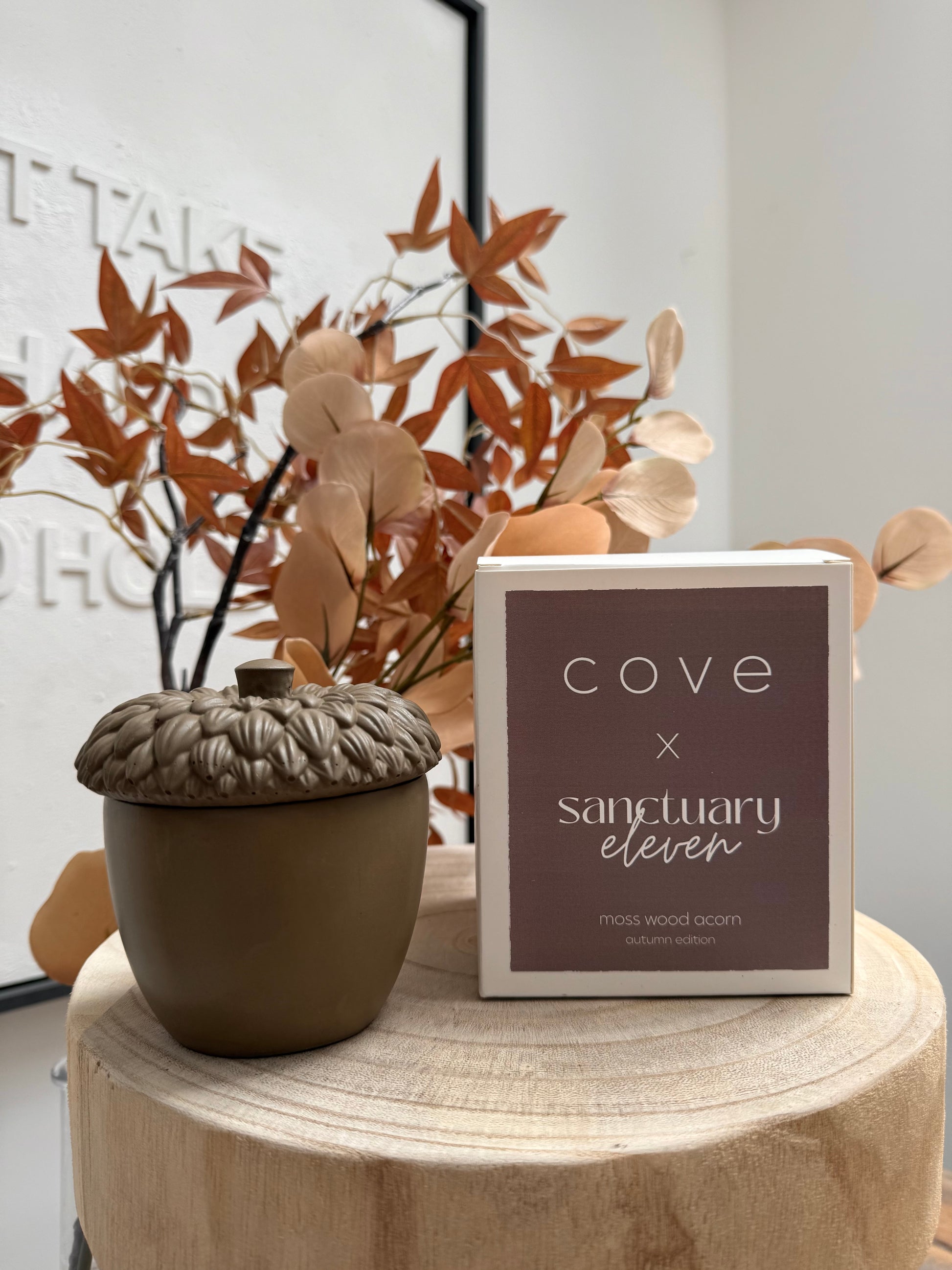 brown autumn bundle