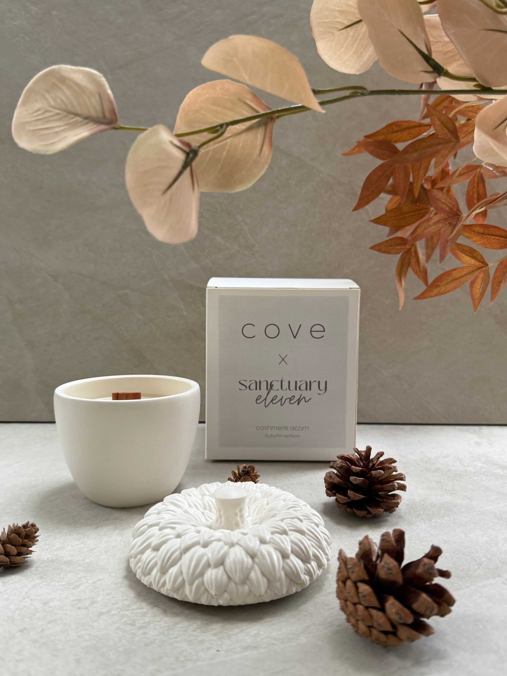 Cove x Sanctuary 11 Cosy Cashmere Acorn Candle (LIMITED EDITION)
