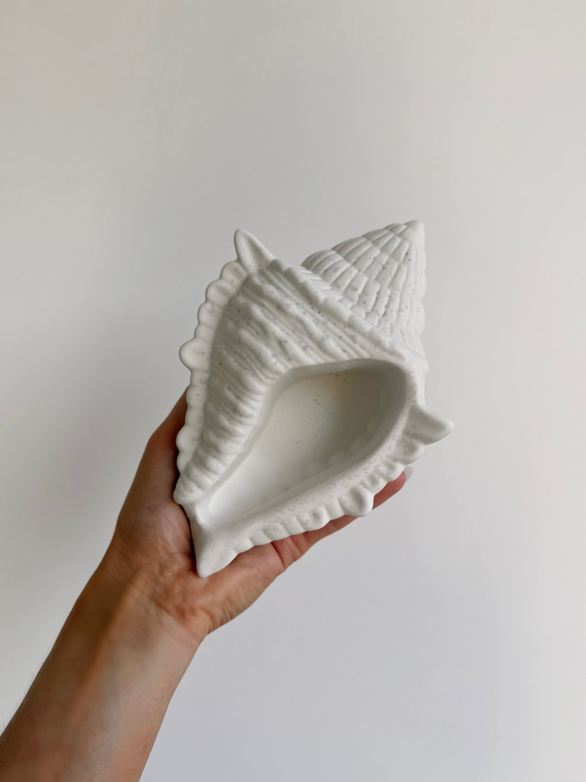 shell