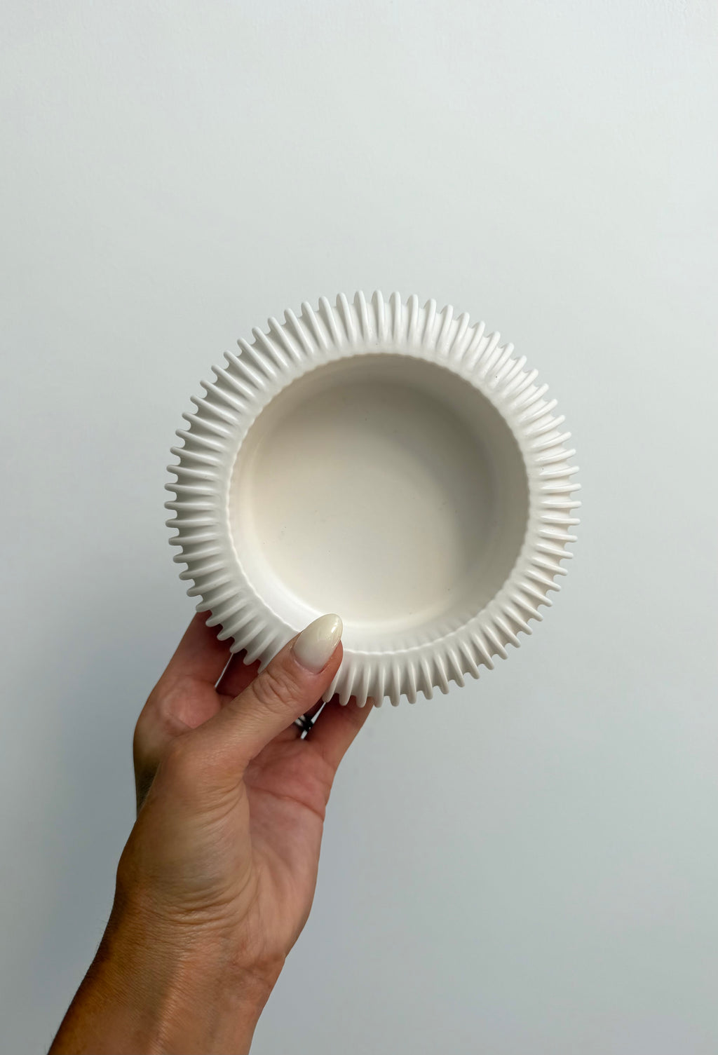 reef dish
