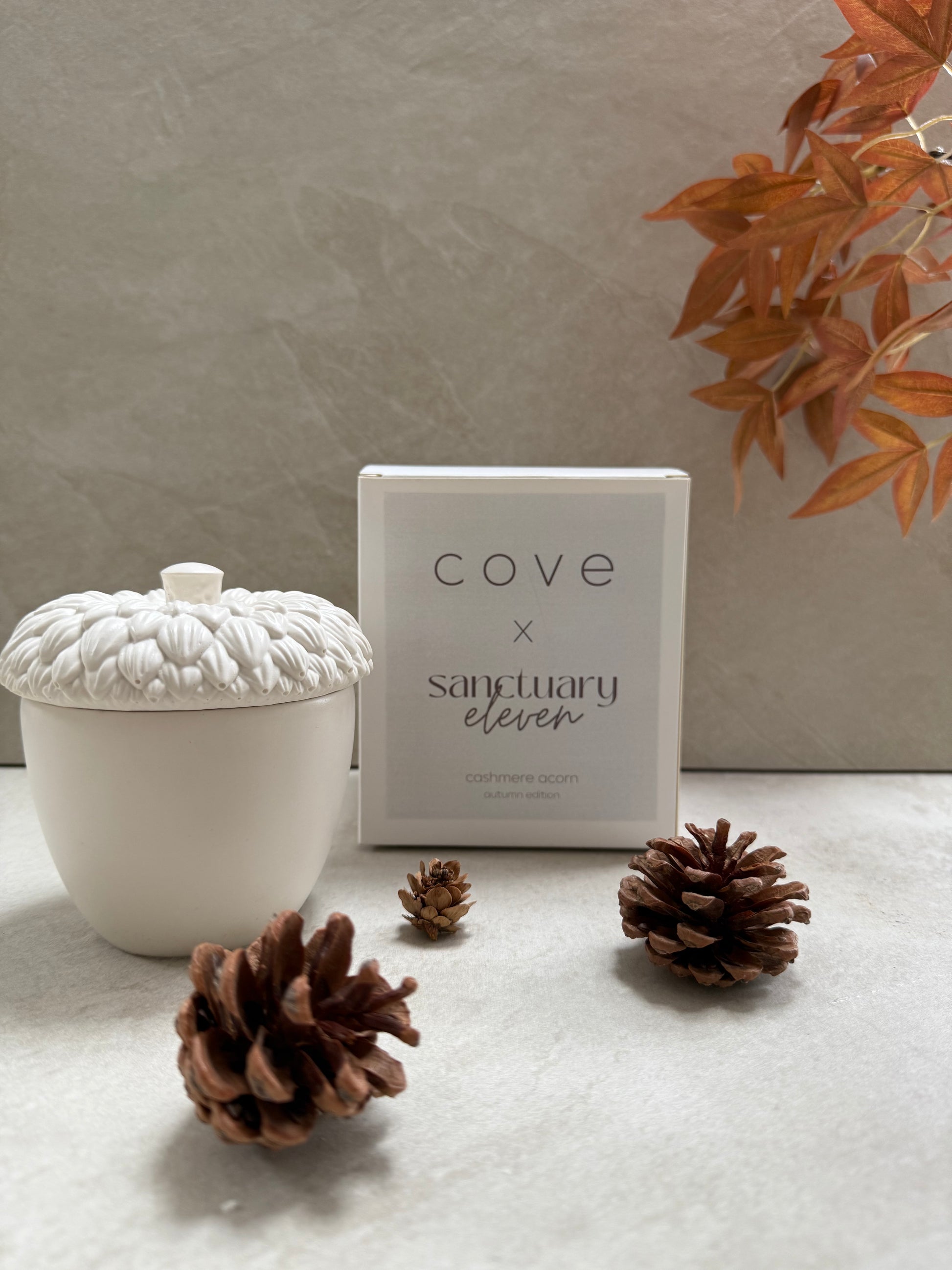 Cove x Sanctuary 11 Cosy Cashmere Acorn Candle (LIMITED EDITION)