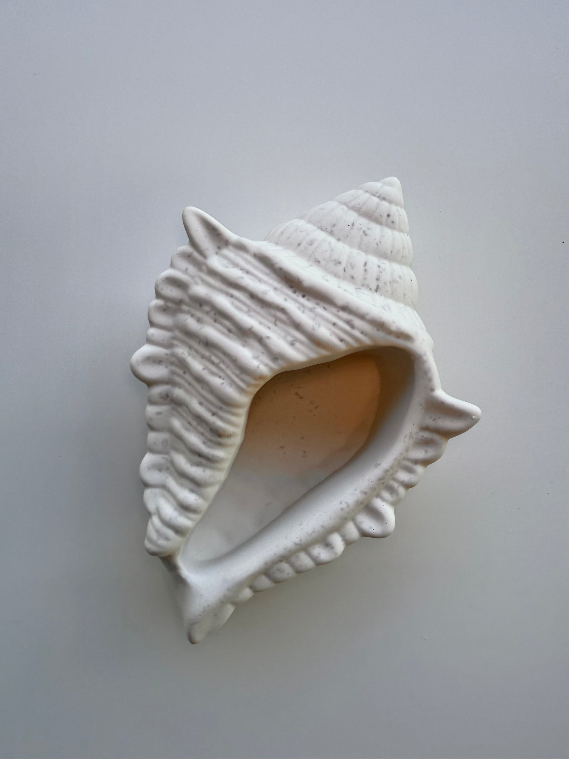 shell
