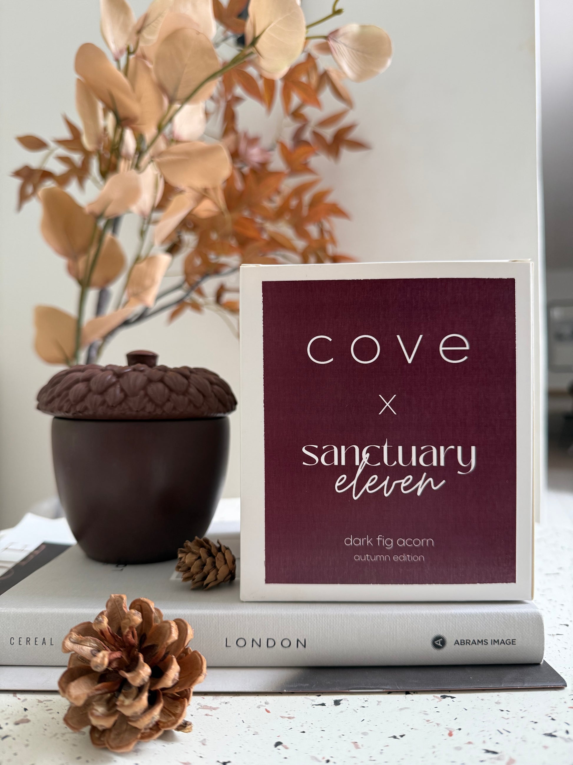 burgundy autumn bundle