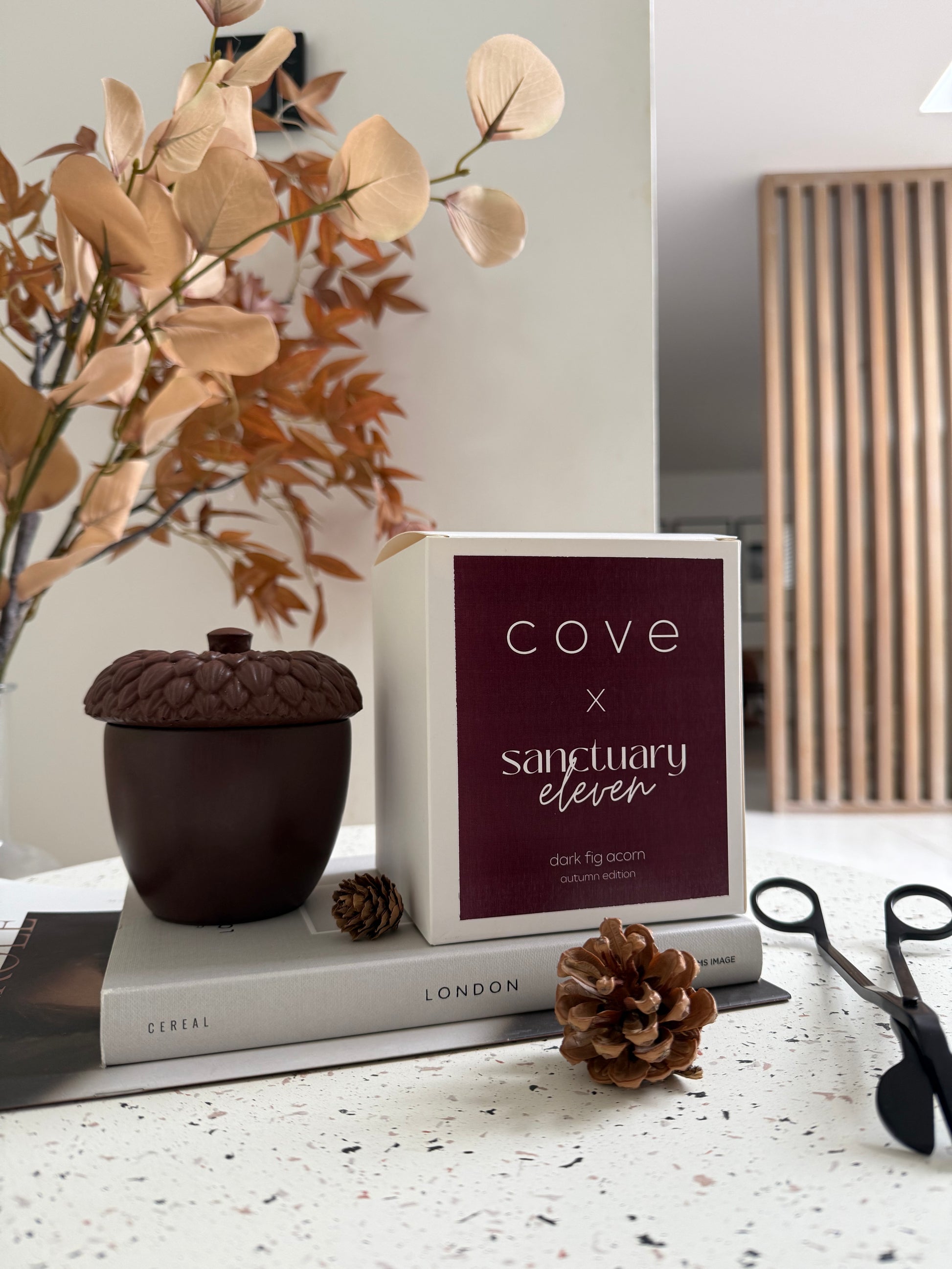 Cove x Sanctuary 11 Dark Fig Acorn Candle (LIMITED EDITION)