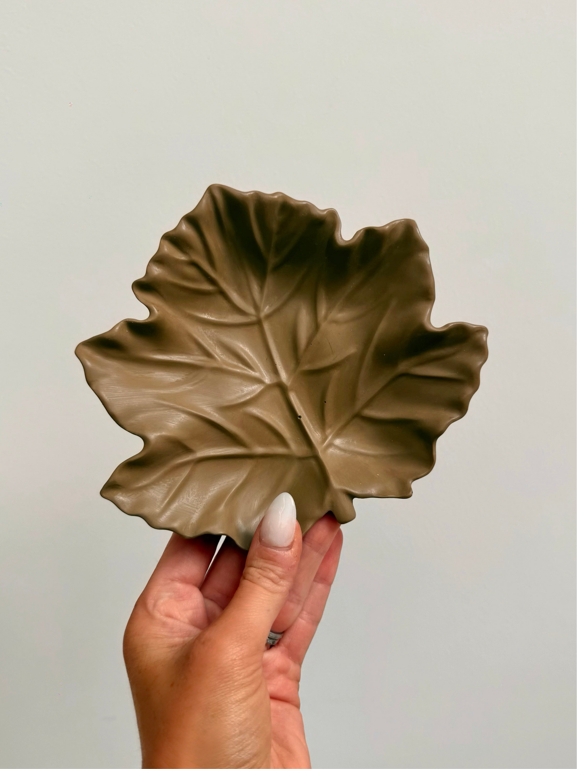 fall leaf - brown