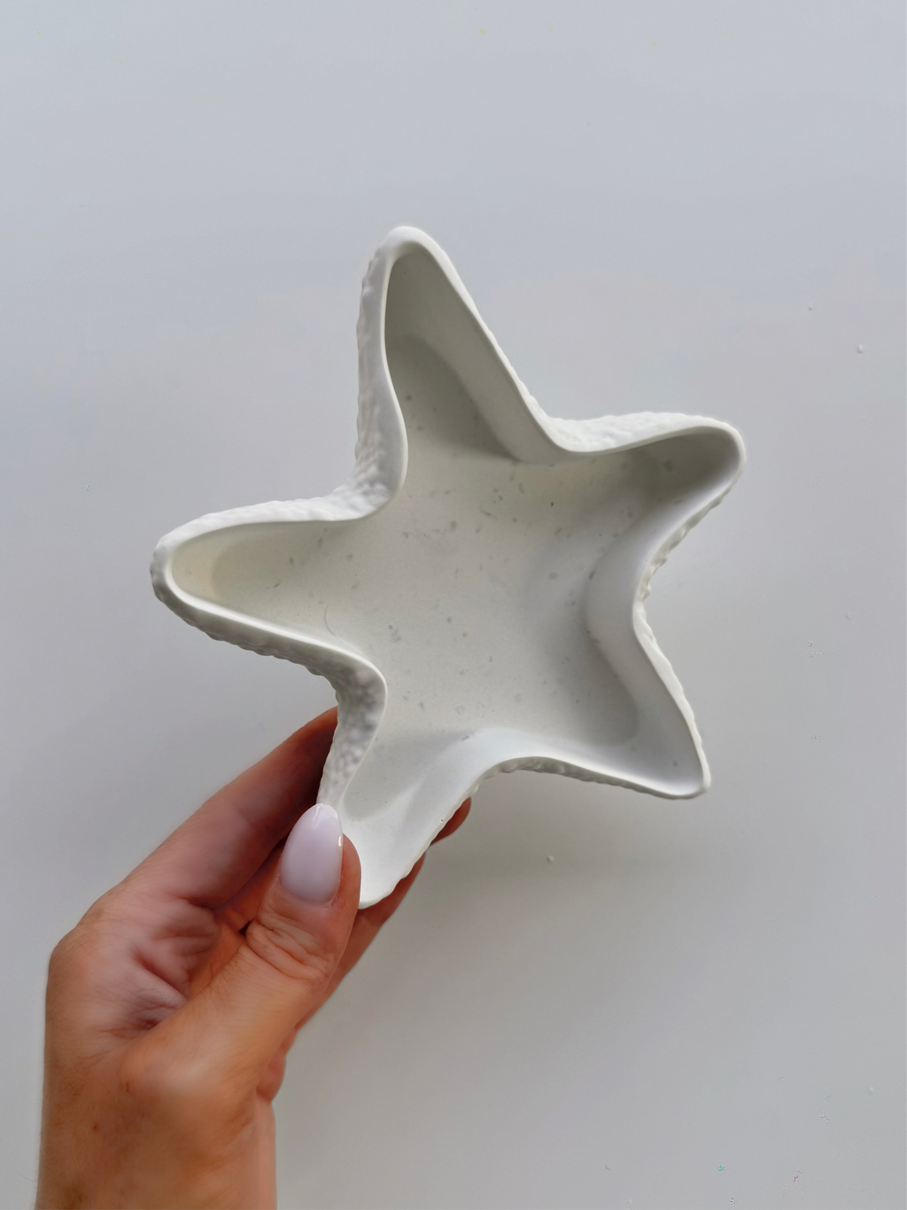 starfish dish