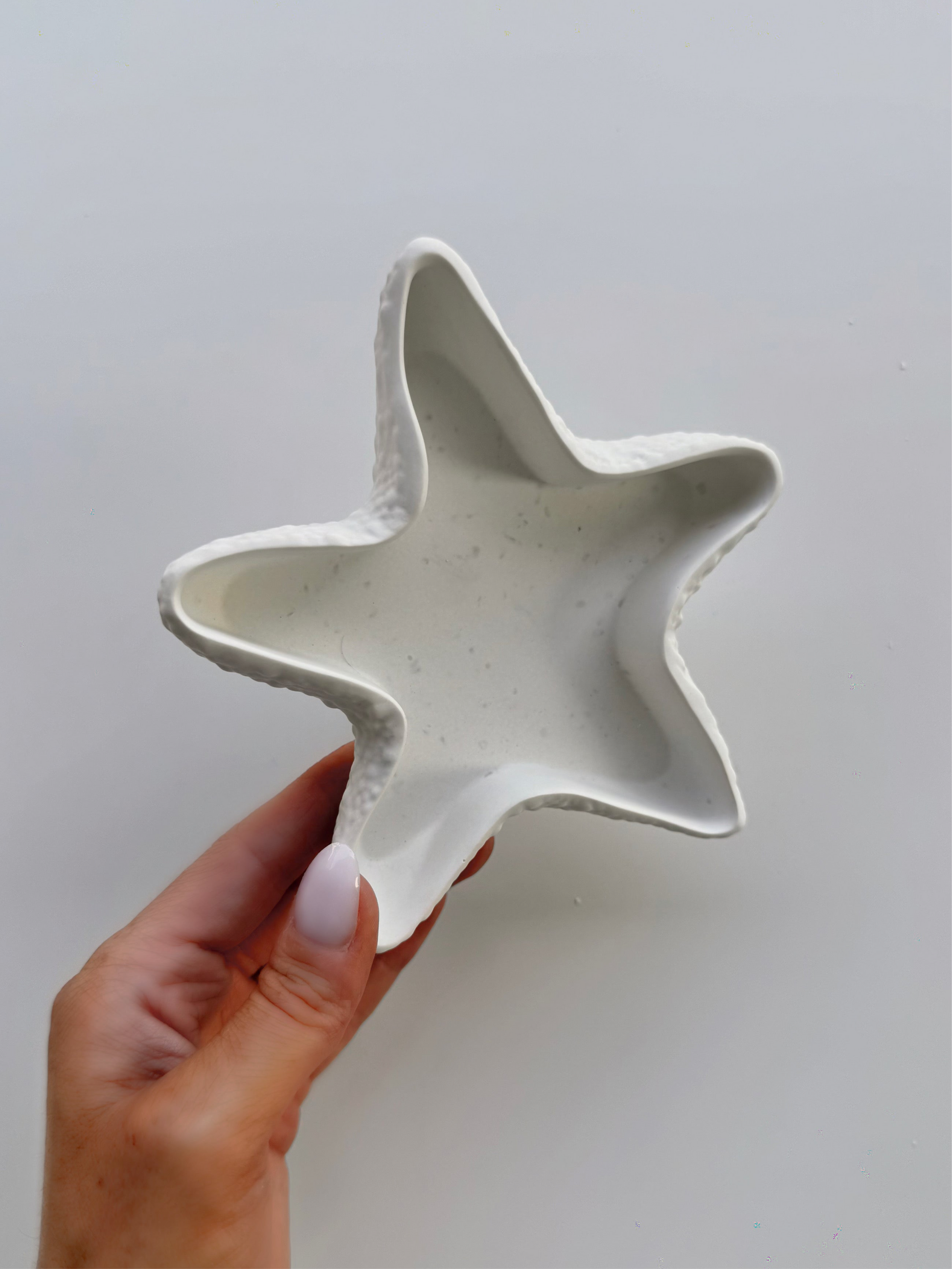starfish dish