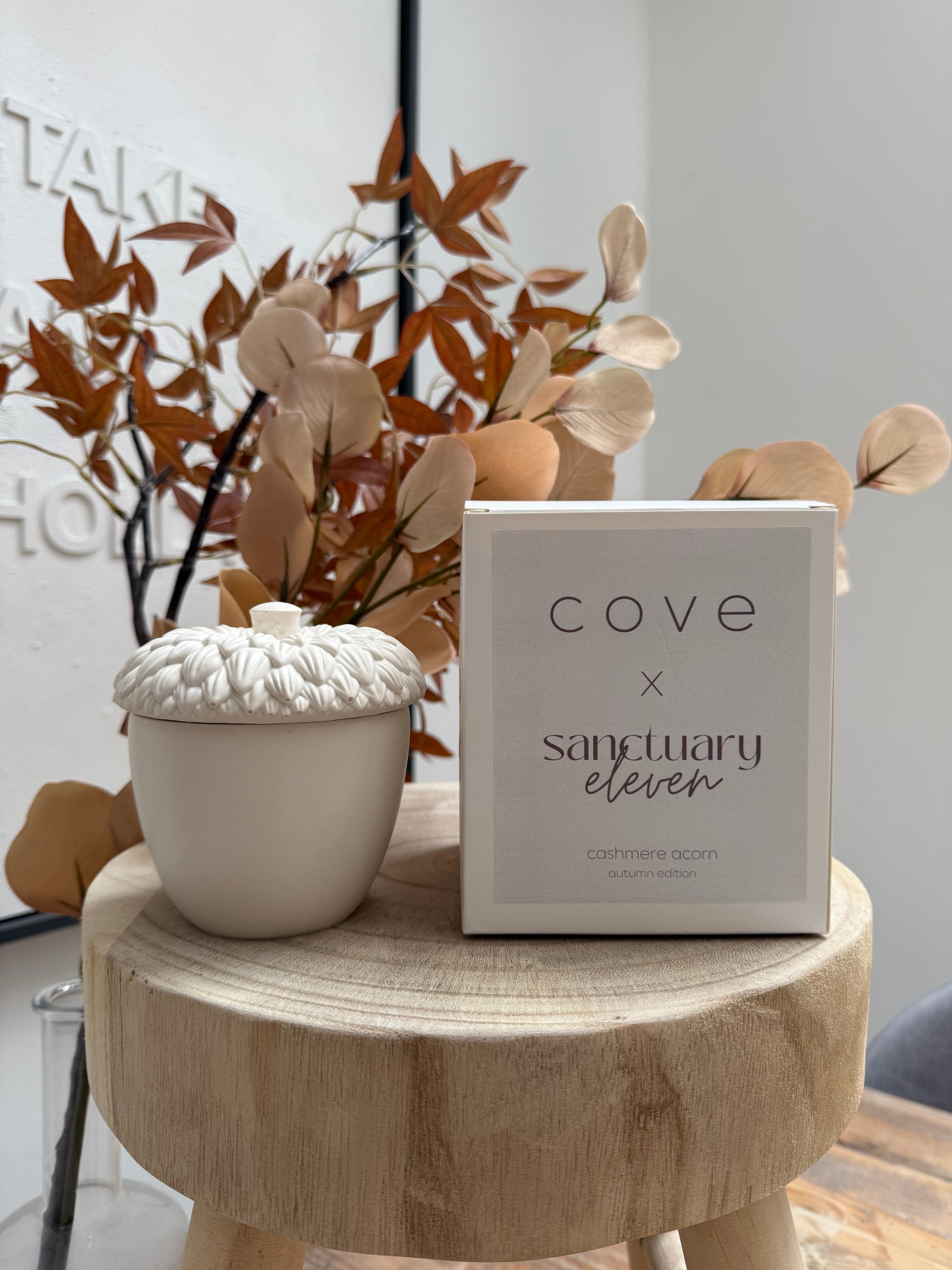 Cove x Sanctuary 11 Cosy Cashmere Acorn Candle (LIMITED EDITION)