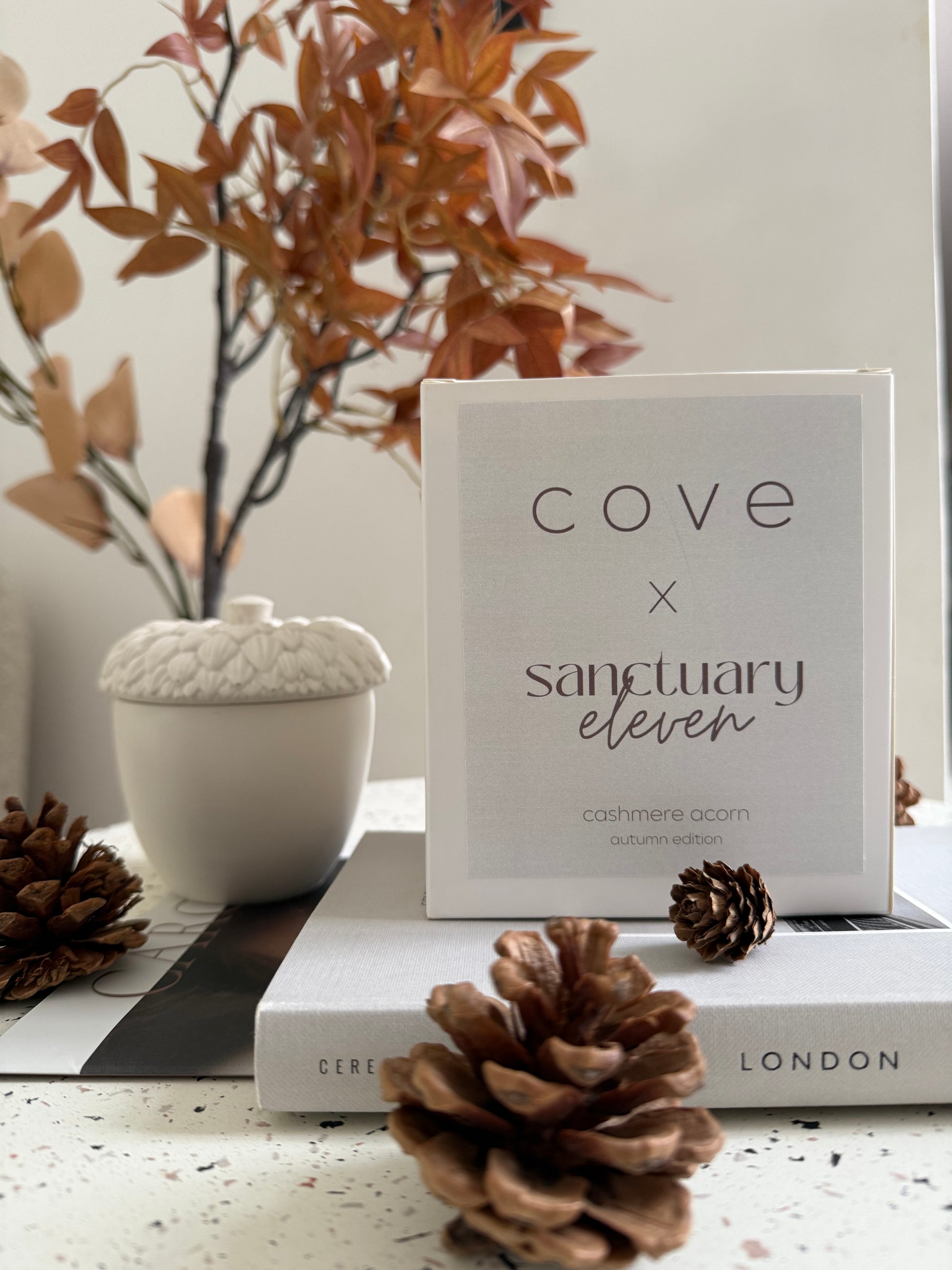 Cove x Sanctuary 11 Cosy Cashmere Acorn Candle (LIMITED EDITION)