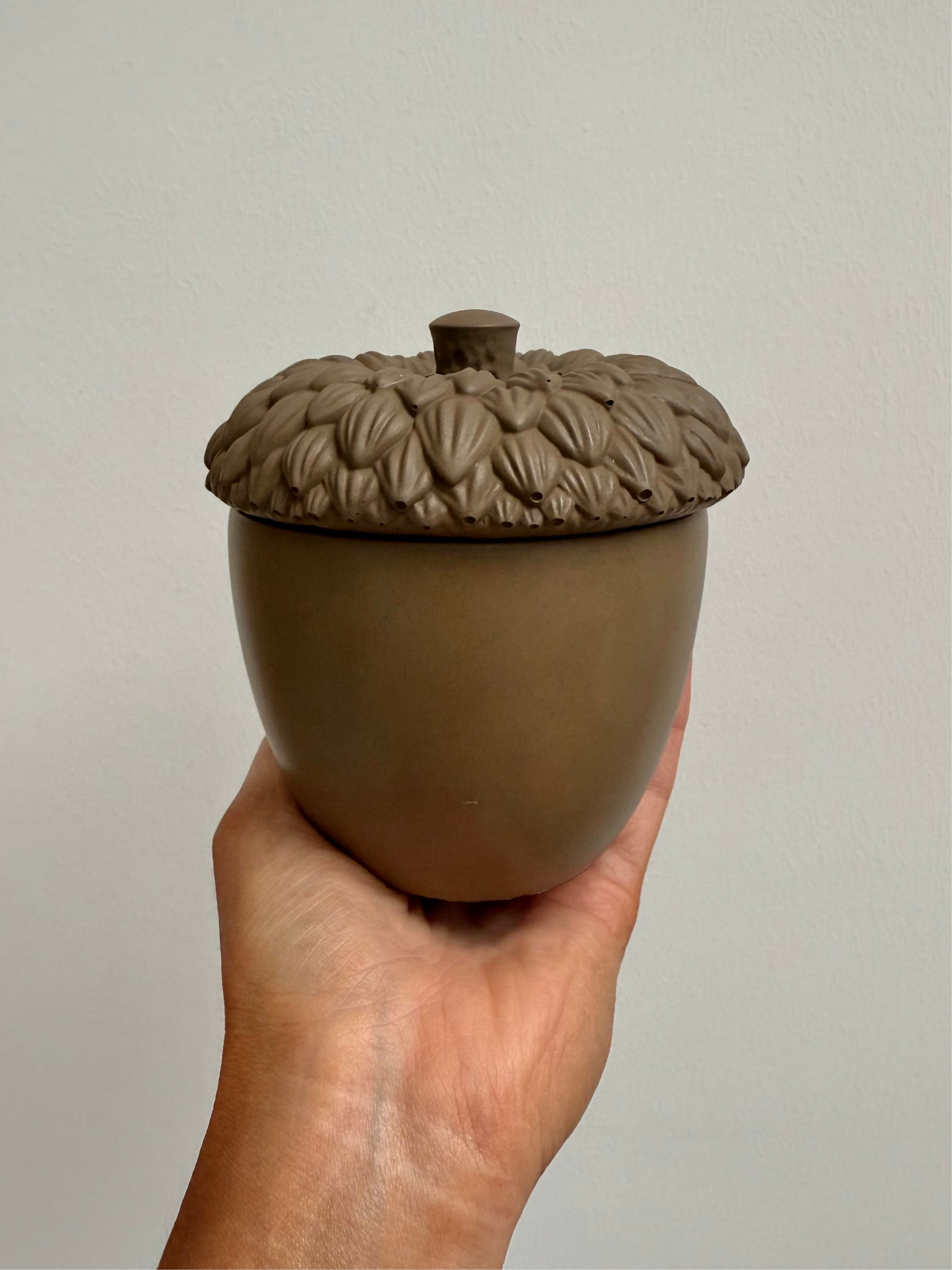 Cove x Sanctuary 11 Moss Wood Acorn Candle (LIMITED EDITION)