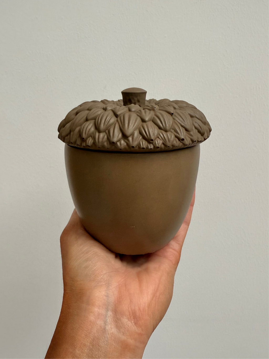 Cove x Sanctuary 11 Moss Wood Acorn Candle (LIMITED EDITION)