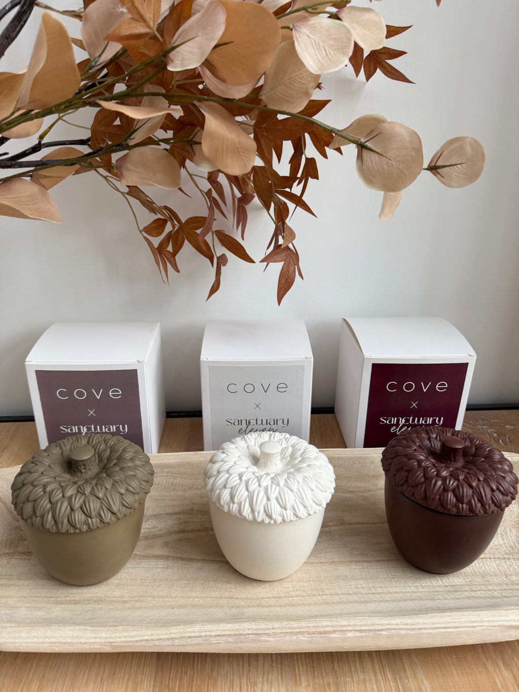 Cove x Sanctuary 11 Cosy Cashmere Acorn Candle (LIMITED EDITION)