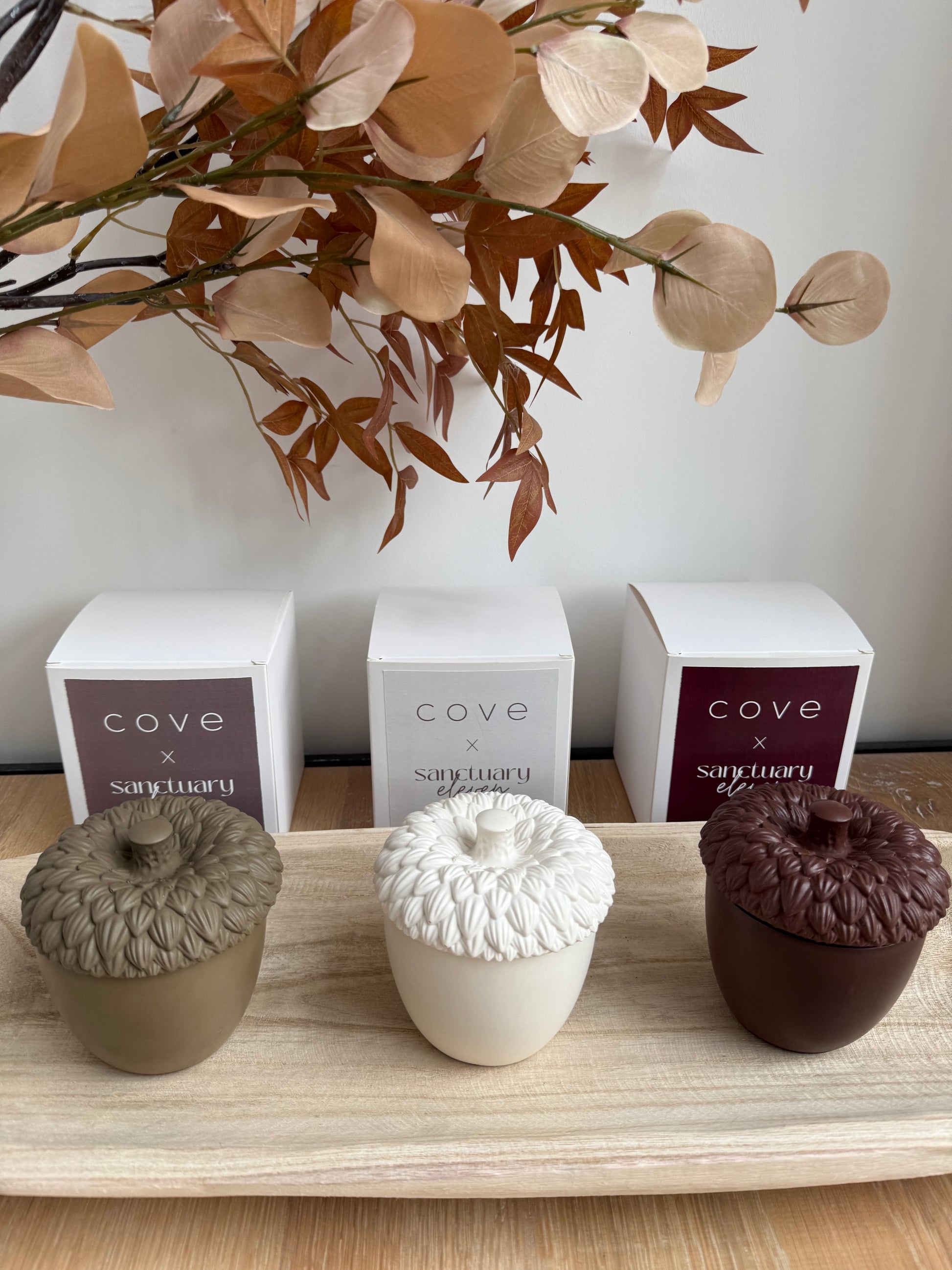 Cove x Sanctuary 11 Cosy Cashmere Acorn Candle (LIMITED EDITION)