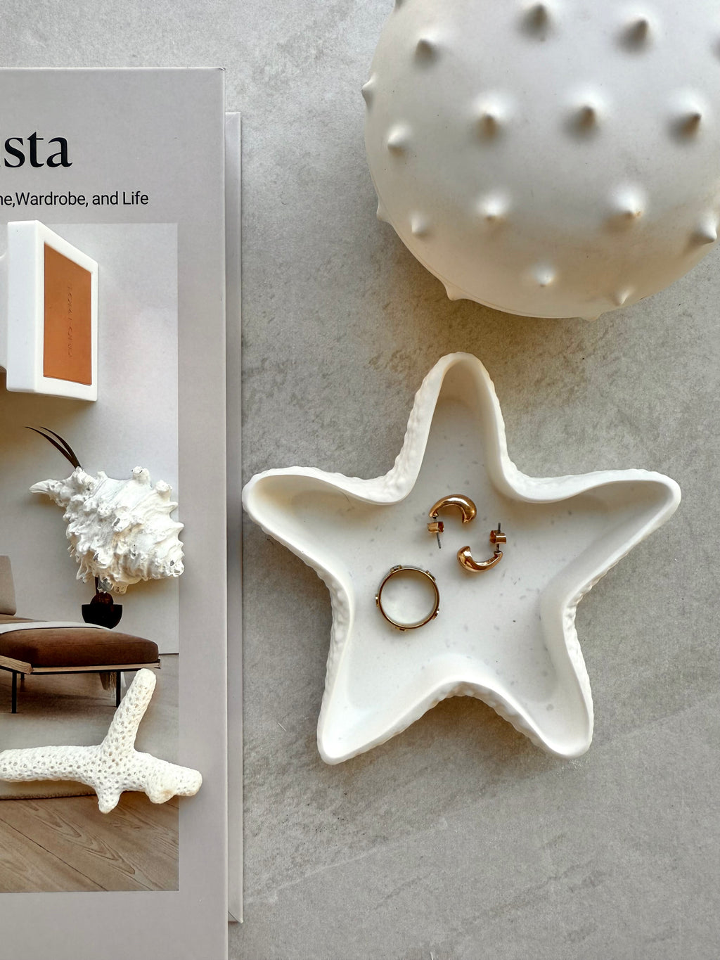 starfish dish