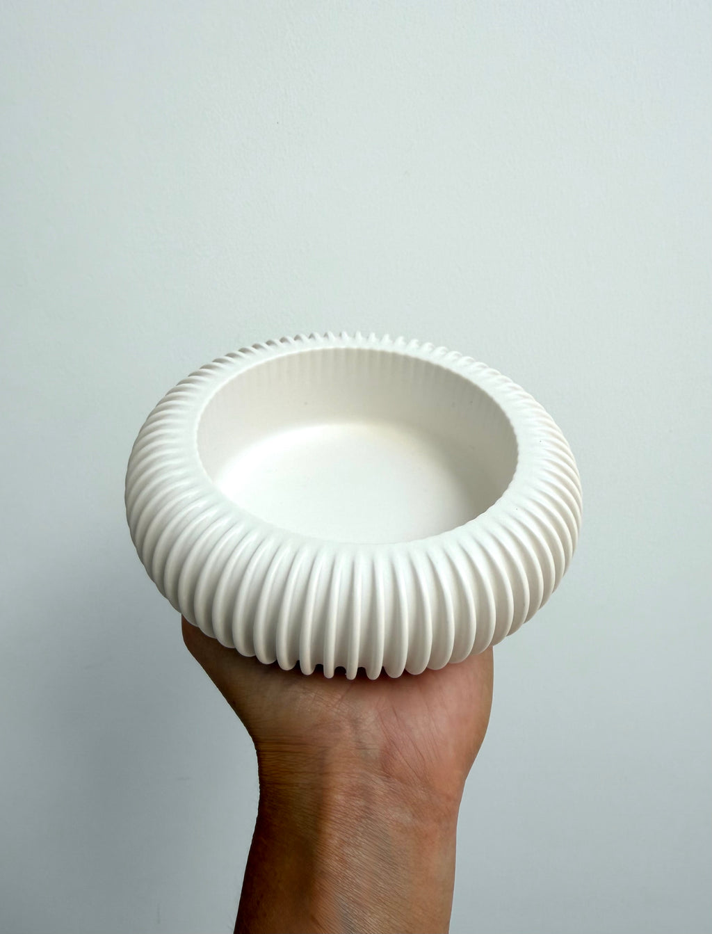 reef dish