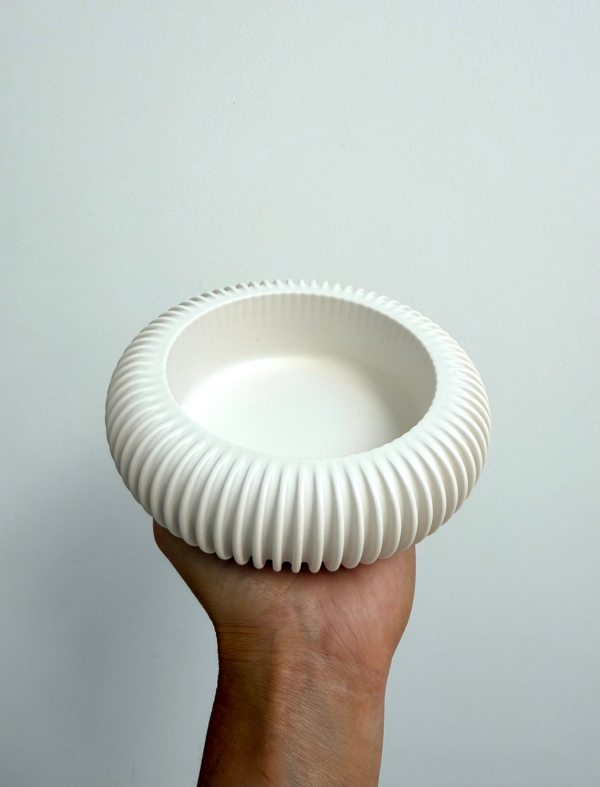reef dish