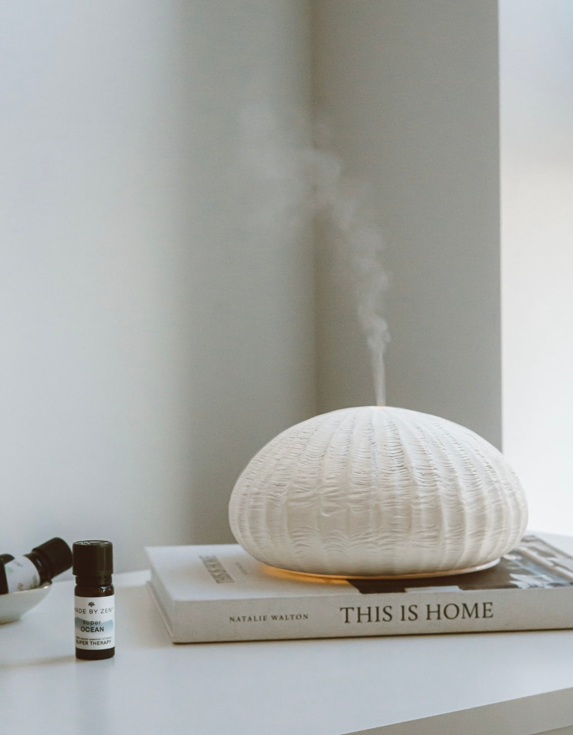 urchin ceramic electric diffuser