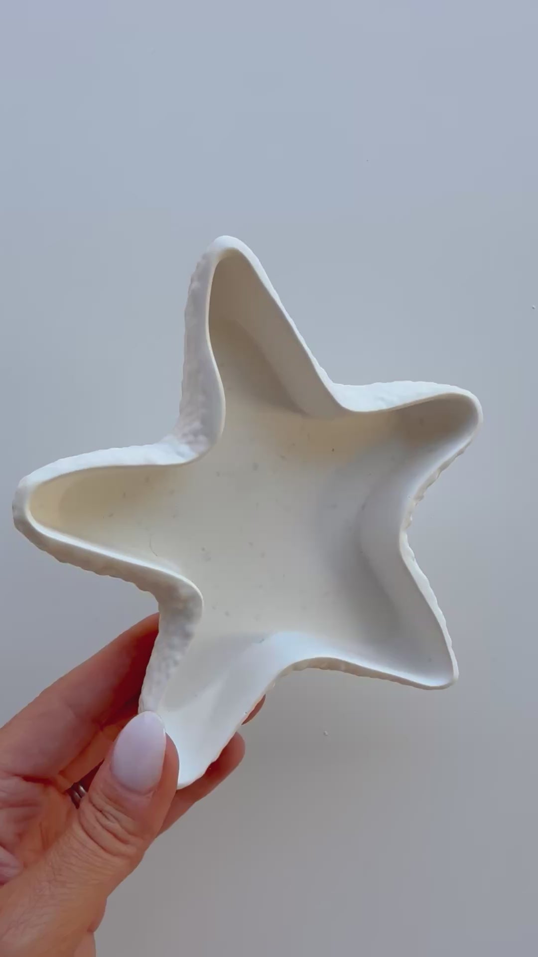 starfish dish
