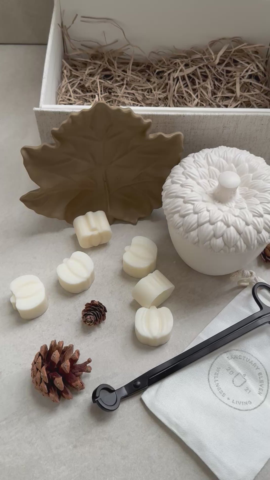 Cove x Sanctuary 11 Cosy Cashmere Acorn Candle (LIMITED EDITION)