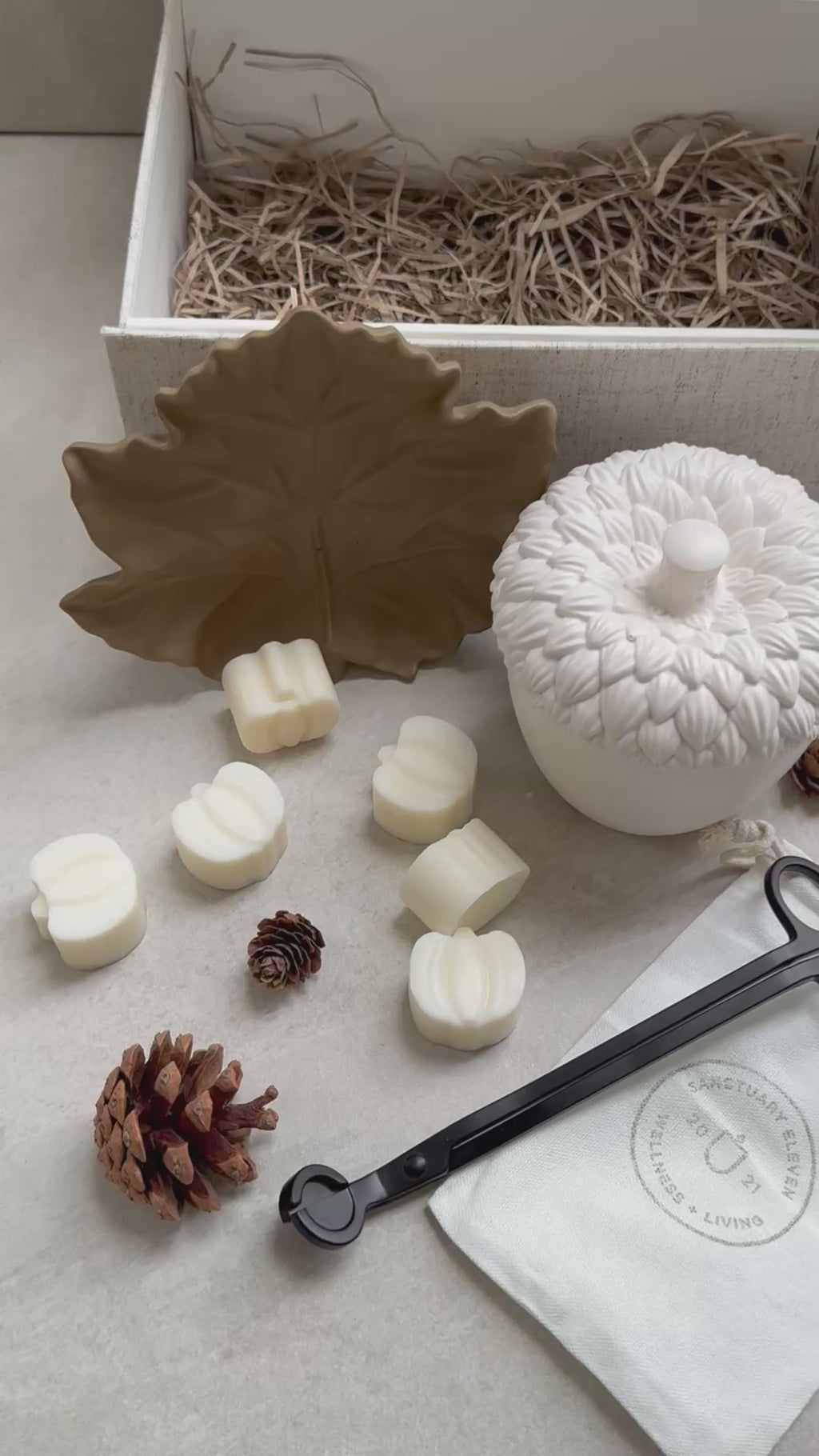 Cove x Sanctuary 11 Cosy Cashmere Acorn Candle (LIMITED EDITION)