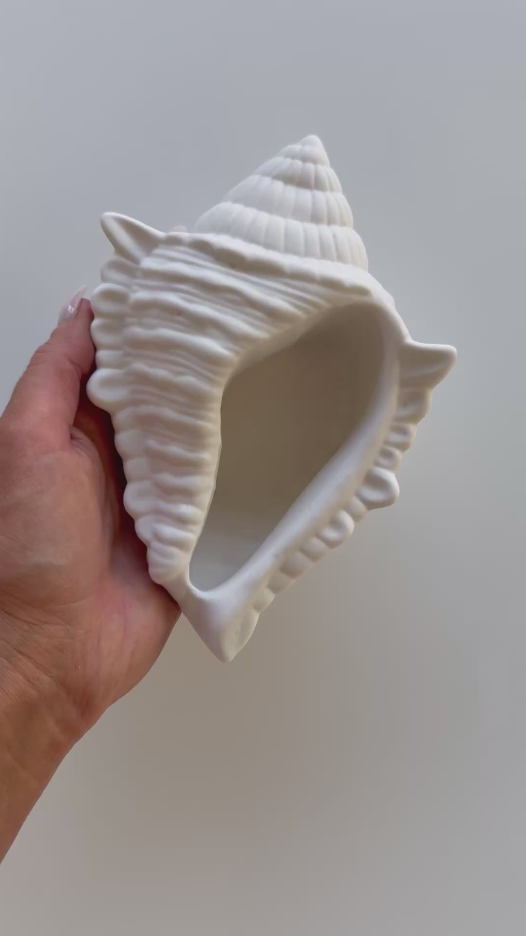 shell